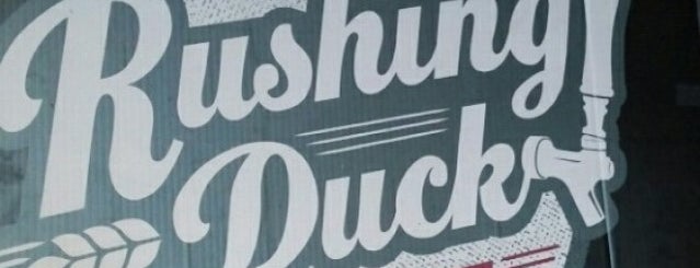 Rushing Duck Brewing Company is one of New York Breweries.