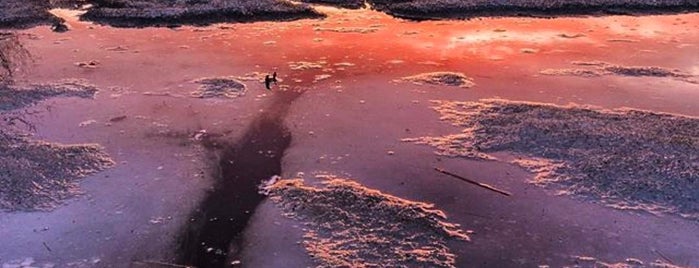 Great Turkey Pond is one of All-time favorites in United States.