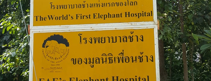 โรงพยาบาลช้าง is one of Locais curtidos por Sopha.
