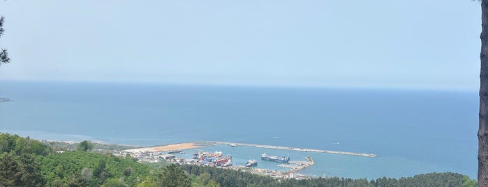 Panorama Kafe is one of Doğu Karadeniz.