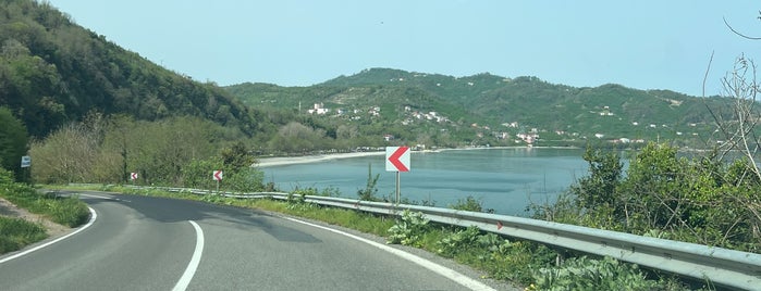 Çaka Beyazkum is one of Ordu & Giresun.