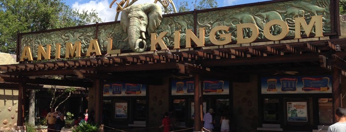 Disney's Animal Kingdom is one of Orte, die James gefallen.
