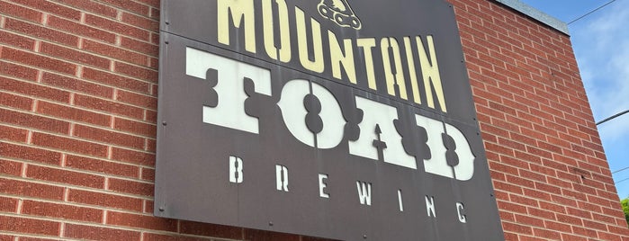 Mountain Toad Brewing is one of Breweries I Love.