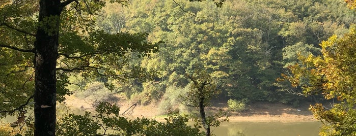 Belgrad Ormanı Koşu Parkuru is one of Orte, die Tulin gefallen.
