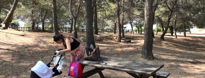 Parc del Migdia is one of Posti che sono piaciuti a Colin.