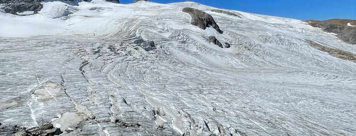 Glacier des Deux Alpes (3200 m) is one of Les2Alpes.