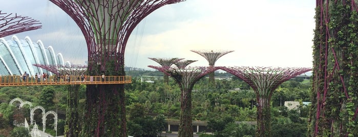 Gardens by the Bay is one of Touring-1.