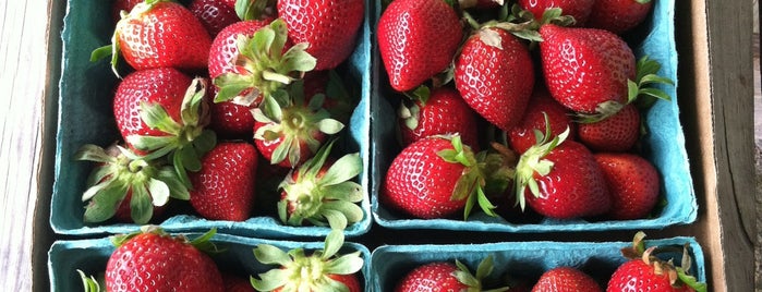 Pappy's Strawberry Patch is one of To go.