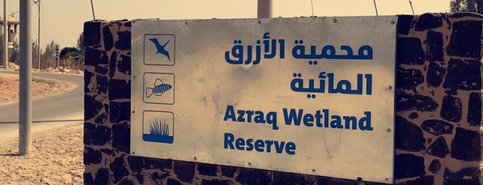 Azraq Water Reserve is one of Lieux sauvegardés par Ahmad🌵.