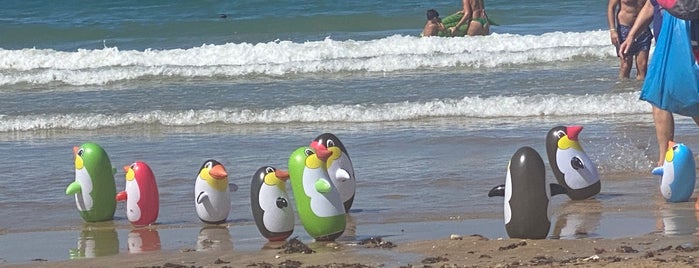 Costa Ballena Beach is one of Spain.