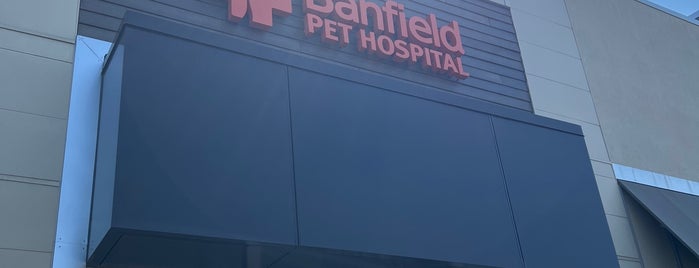 Banfield Pet Hospital is one of saved crap.