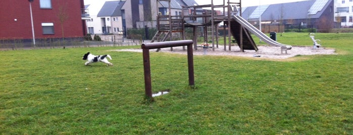 Speelpleintje Heilig Hart is one of Oy's playgrounds.