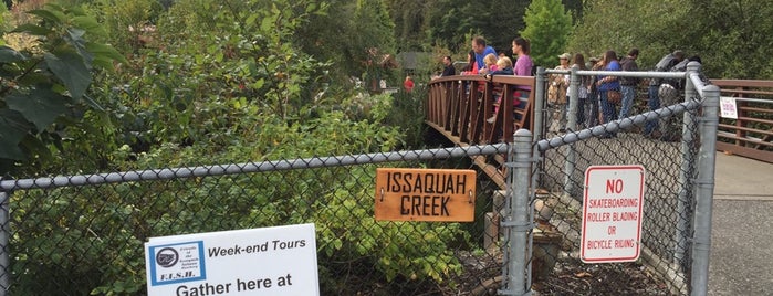 Issaquah Creek is one of Orte, die Doug gefallen.