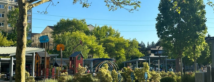 Inspiration Playground is one of Seattle for kids.
