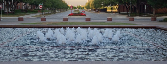 Ann Lacy Crain Fountain is one of US-TX-SMU.