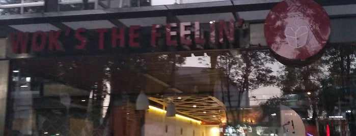 Wok's The Feellin' WTF is one of Orte, die Thelma gefallen.
