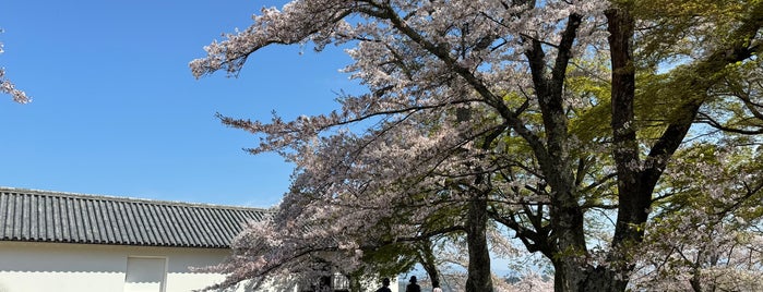 彦根城 西の丸三重櫓 is one of 観光 行きたい.