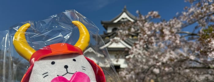 Hikone Castle Tower is one of My experiences of Japan.