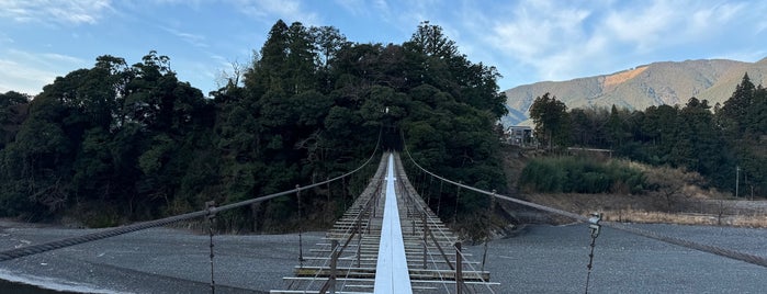 塩郷の吊橋 is one of 行ったことがある-1.