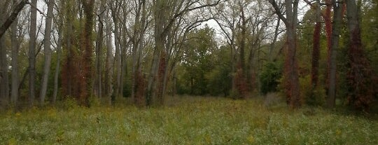 Huffman MetroPark is one of Favorite Outdoor Parks.