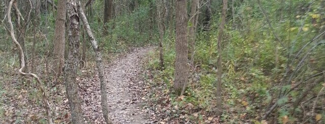Chestnut Ridge Mountain Bike Trail is one of Columbus Area Parks & Trails.