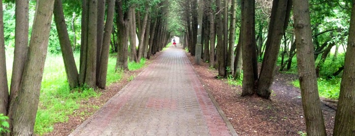 Парк Питомник is one of Locais curtidos por Victoria.