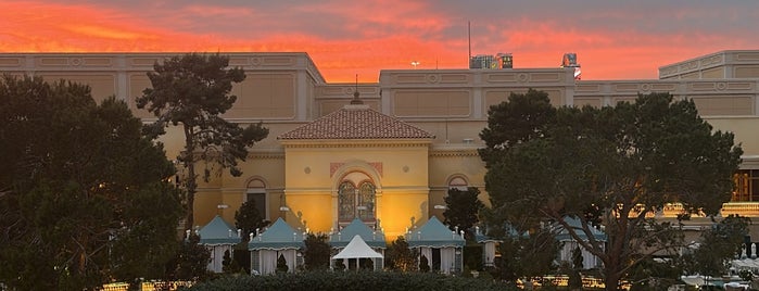 Bellagio Pool is one of Vegas!.