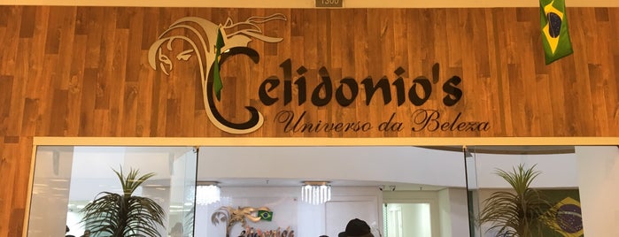 Celidonio's is one of Maxi Shopping Jundiaí.
