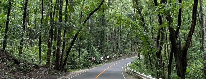 Man-Made Forest is one of Philippines.