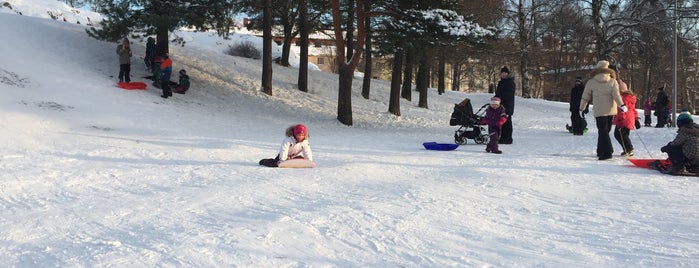 Väinämöisen puisto is one of Other parks and natural attractions.