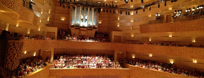 Mariinsky Theatre Concert Hall is one of Места для онлайн трансляций.