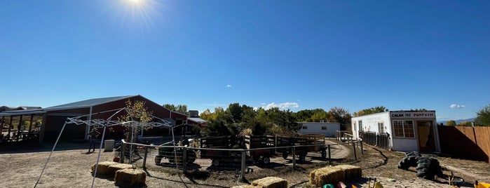 Long Neck Pumpkin Farm is one of Lugares favoritos de Michael.