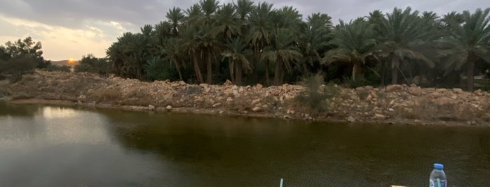 شعيب دقلة Dqala glen is one of Riyadh.