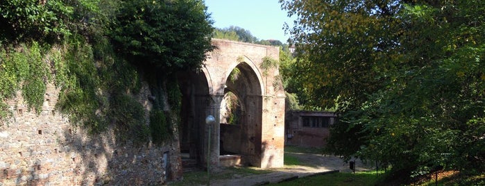 Fonte Ovile is one of Siena open air.