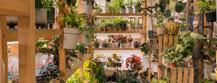 Bionac - Animaux Et Plantes 2.0 is one of Shops.