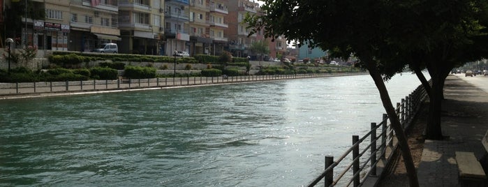 Kanal is one of Asena’s Liked Places.