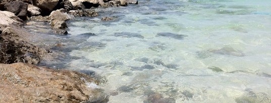 Hamriyah Town Beach is one of Orte, die George gefallen.