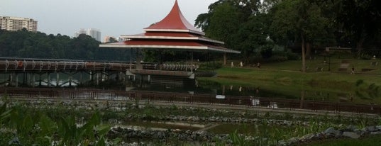 MacRitchie Reservoir Park is one of Trek Across Singapore.