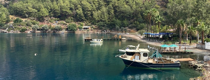 Delikyol Deniz Restaurant Mehmet’in Yeri is one of Loveat💞.