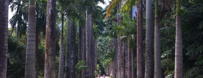 Jardim Botânico do Rio de Janeiro is one of Top 10 favorites places in RJ.