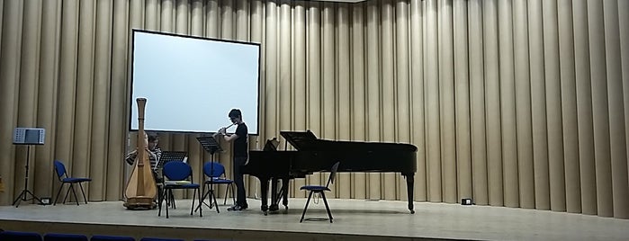 Conservatorio di Musica "A. Casella" is one of Aydın'ın Beğendiği Mekanlar.