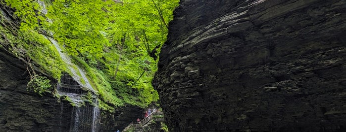 Watkins Glen State Park is one of Places I've checked in with wifi.