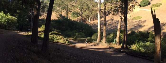 Glen Canyon Park is one of 2018 - California.
