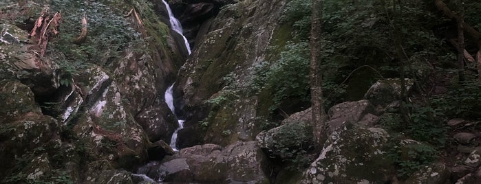 Dark Hollow Falls is one of Virginia.
