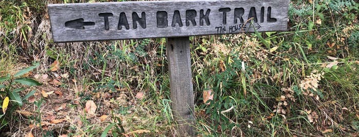 Tan Bark Trail is one of Cali roadtrip.