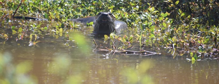 Alligator River National Wildlife Refuge is one of Outer Banks Roadtrip.