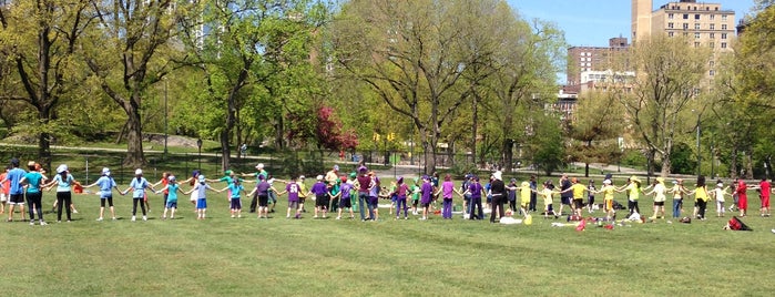 North Meadow Field 2 is one of Nyc must do.