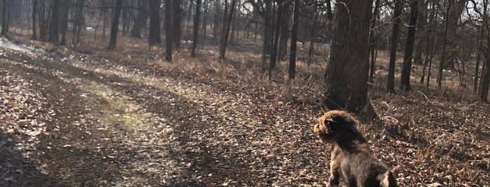 Helm Woods Nature Preserve is one of Illinois Nature Preserves.