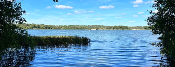 Frensham Great Pond is one of Surrey Hill.