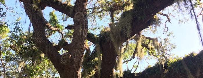 The Barnacle Historic State Park is one of Miami.